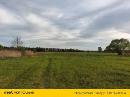 Duża, kształtna działka budowlana - Skoroszów