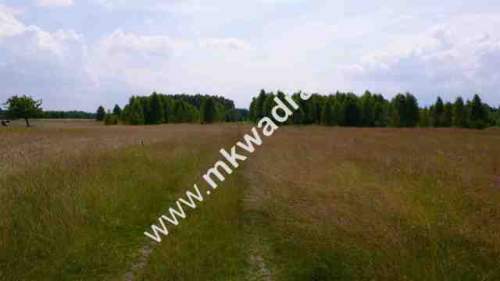 Działka budowlana na sprzedaż, 1693 m2, Korabiewice