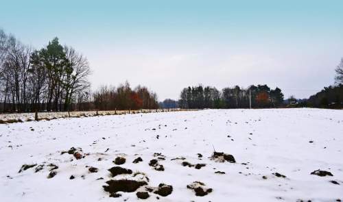 Działka pod Kazimierzem-16ar spokojna okolica 