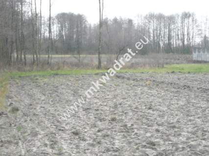Działka budowlana na sprzedaż, 4200 m2, Juliopol