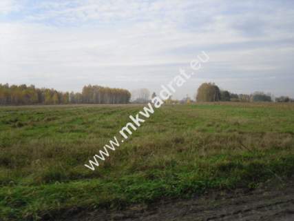 Działka rolna na sprzedaż, 130000 m2, Baranów