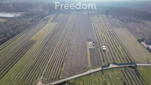 Działka rolna 2,25 ha - Marianka koło Tarczyna
