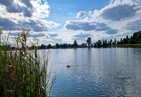 Działka nad jeziorem.