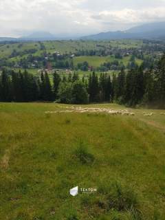 zakopane 3 tyś m2 potencjał okazja lokalizacja