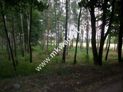 Działka rolna 13 600 m Żabia Wola