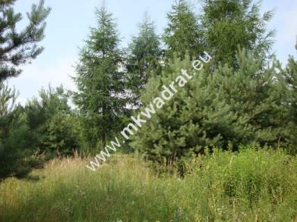 Grzegorzewice działka 2163m2