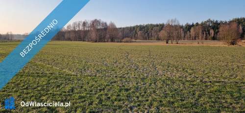 Sprzedam działkę budowlaną, Stara Wieś, gm. Rząśnik, powiat wyszk