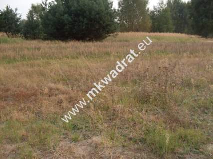 Działka budowlana na sprzedaż, 20000 m2, Nowe Budy