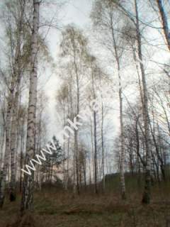 Działka budowlana na sprzedaż, 10030 m2, Słubica B