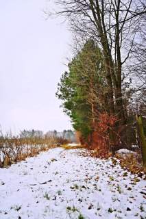 Działka pod Kazimierzem-16ar spokojna okolica 