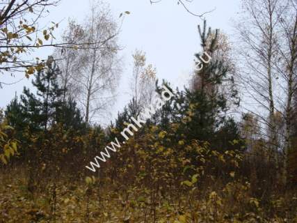 Działka budowlana na sprzedaż, 2340 m2, Jesionka
