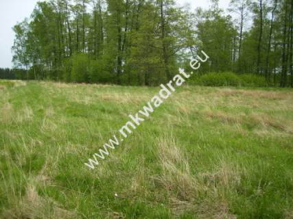Działka budowlana na sprzedaż, 12600 m2, Budy Mszczonowskie