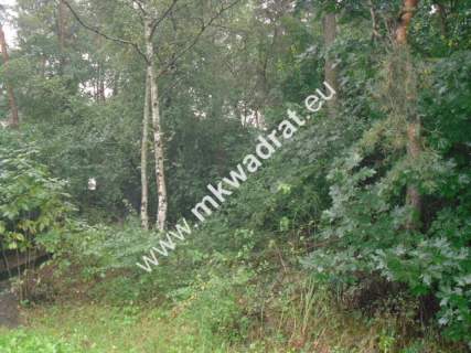 Działka budowlana na sprzedaż, 10900 m2, Stare Budy