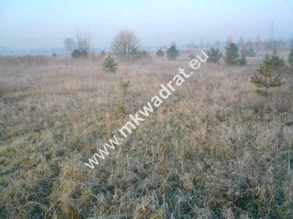 Teren pod inwestycje w gm.Teresin
