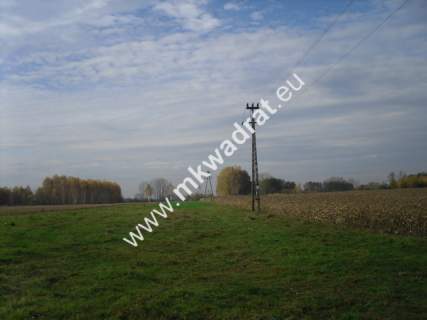 Działka rolna na sprzedaż, 130000 m2, Baranów