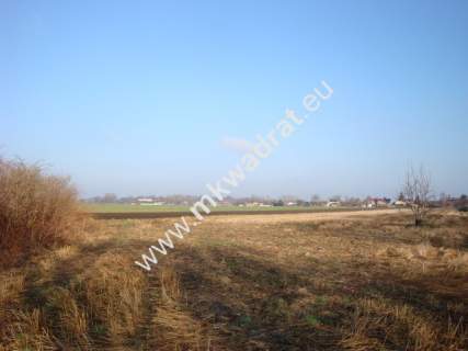 Działka rolna na sprzedaż, 7100 m2, Chlebnia