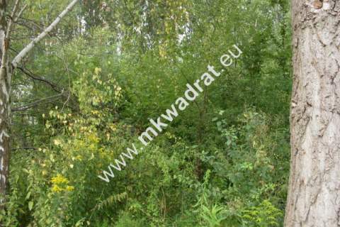 Działka budowlana na sprzedaż, 3830 m2, Pęcice Małe