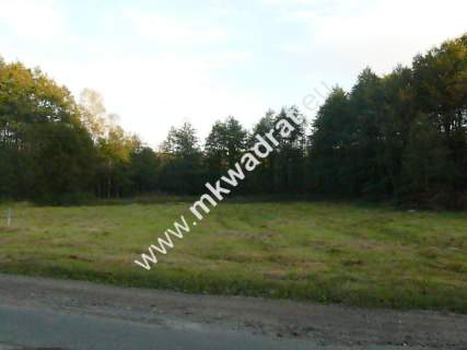 Działka budowlana na sprzedaż, 4000 m2, Słubica B
