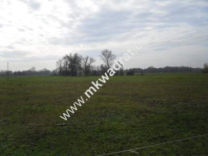 Działka rolna na sprzedaż, 130000 m2, Baranów