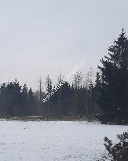 Duża działka z Planem Zagosp. 1MN LUX lokalizacja