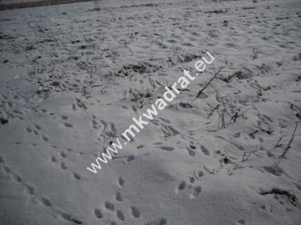 Działka inwestycyjna na sprzedaż, 5200 m2, Płochocin