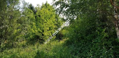 Osowiec gm. Żabia Wola 1653m2 narożna MPZP