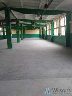 Hala blisko centrum