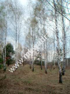 Działka budowlana na sprzedaż, 10030 m2, Słubica B