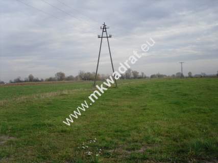 Działka rolna na sprzedaż, 130000 m2, Baranów