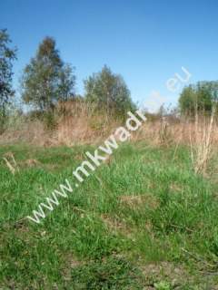 Działka inwestycyjna na sprzedaż, 10000 m2, Błonie