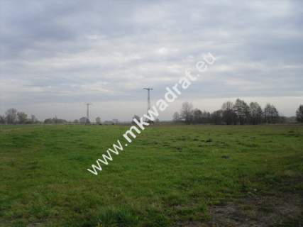 Działka rolna na sprzedaż, 130000 m2, Baranów