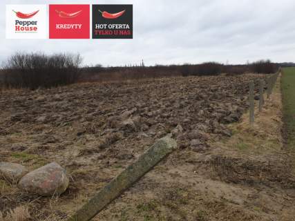 Działka z możliwością posadowienia domu, siedliska