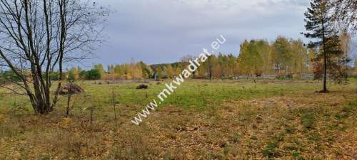 Zboiska gm. Radziejowice MPZP 1300m2 S8