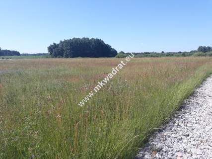 Dla DEVELOPERA z MPZP i MEDIAMI warto 