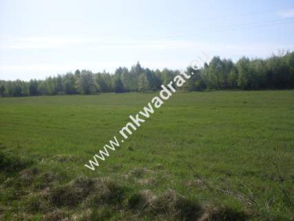 Działka rolna na sprzedaż, 9800 m2, Gąba