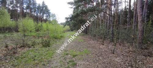 Piękne działki otoczone lasem Czarny las 11 813m2