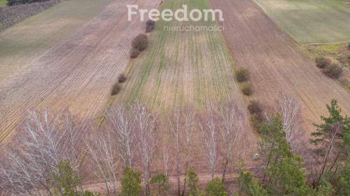 Piękna działka 1,05 ha Chudolipie gm. Mszczonów