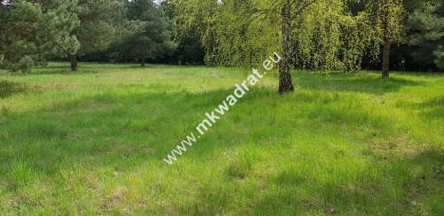 Działka 1352m2 w sąsiedztwie lasu Ojrzanów