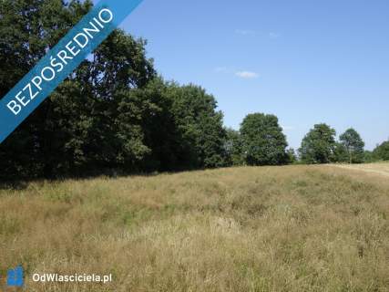 Skoczów Ochaby 62ar pod lasem nadaje się pod rekreacje