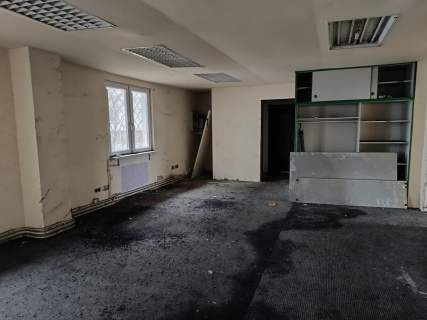 Hala, pomieszczenia magazynowe, plac - Czarnów