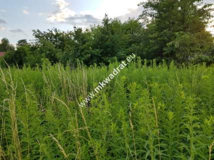 Działka z planem zagospodarowania mkwadrat.eu