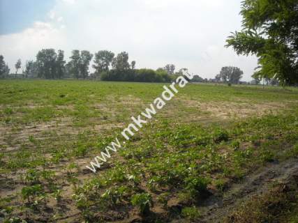 Działka budowlana na sprzedaż, 3000 m2, Nowy Drzewicz