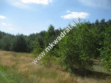 Działka inwestycyjna na sprzedaż, 5100 m2, Siestrzeń
