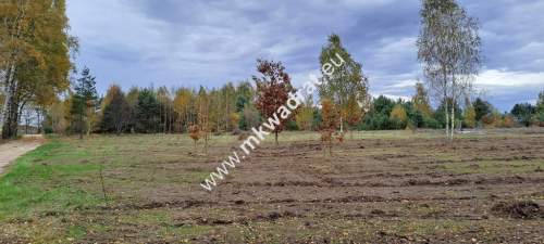 Zboiska gm. Radziejowice MPZP 1300m2 S8