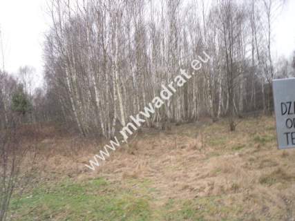 Działka budowlana na sprzedaż, 9600 m2, Stare Budy