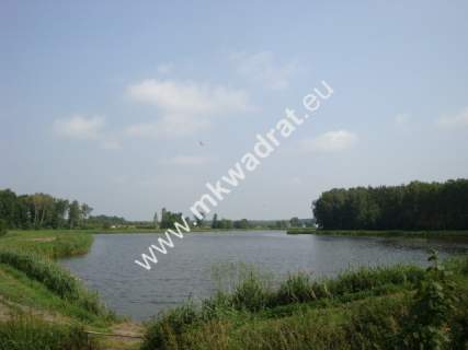 Grzegorzewice działka 2163m2