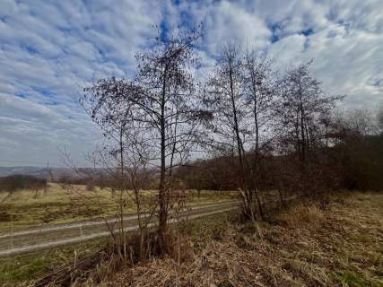 Działka rolno-budowlana Wróblowice