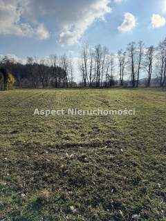 Działka budowlano-siedliskowa w Ochabach Wielkich
