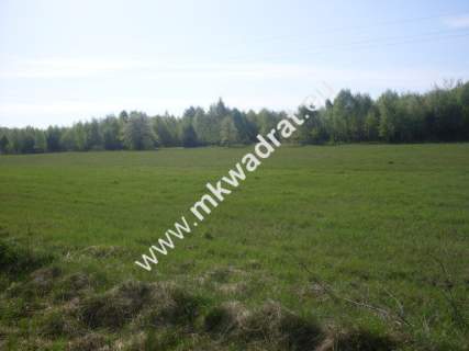 Działka rolna na sprzedaż, 14000 m2, Gąba