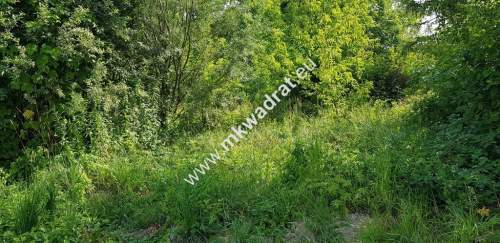 Osowiec gm. Żabia Wola 1653m2 narożna MPZP